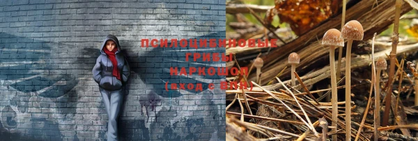 кокаин перу Медногорск